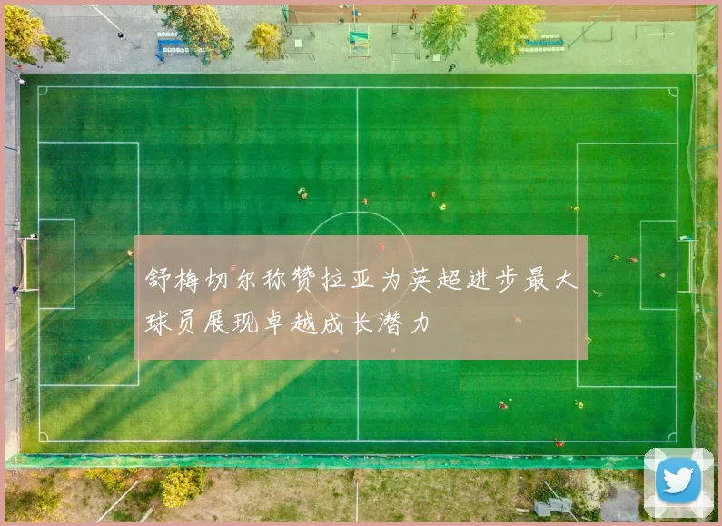 舒梅切尔称赞拉亚为英超进步最大球员展现卓越成长潜力